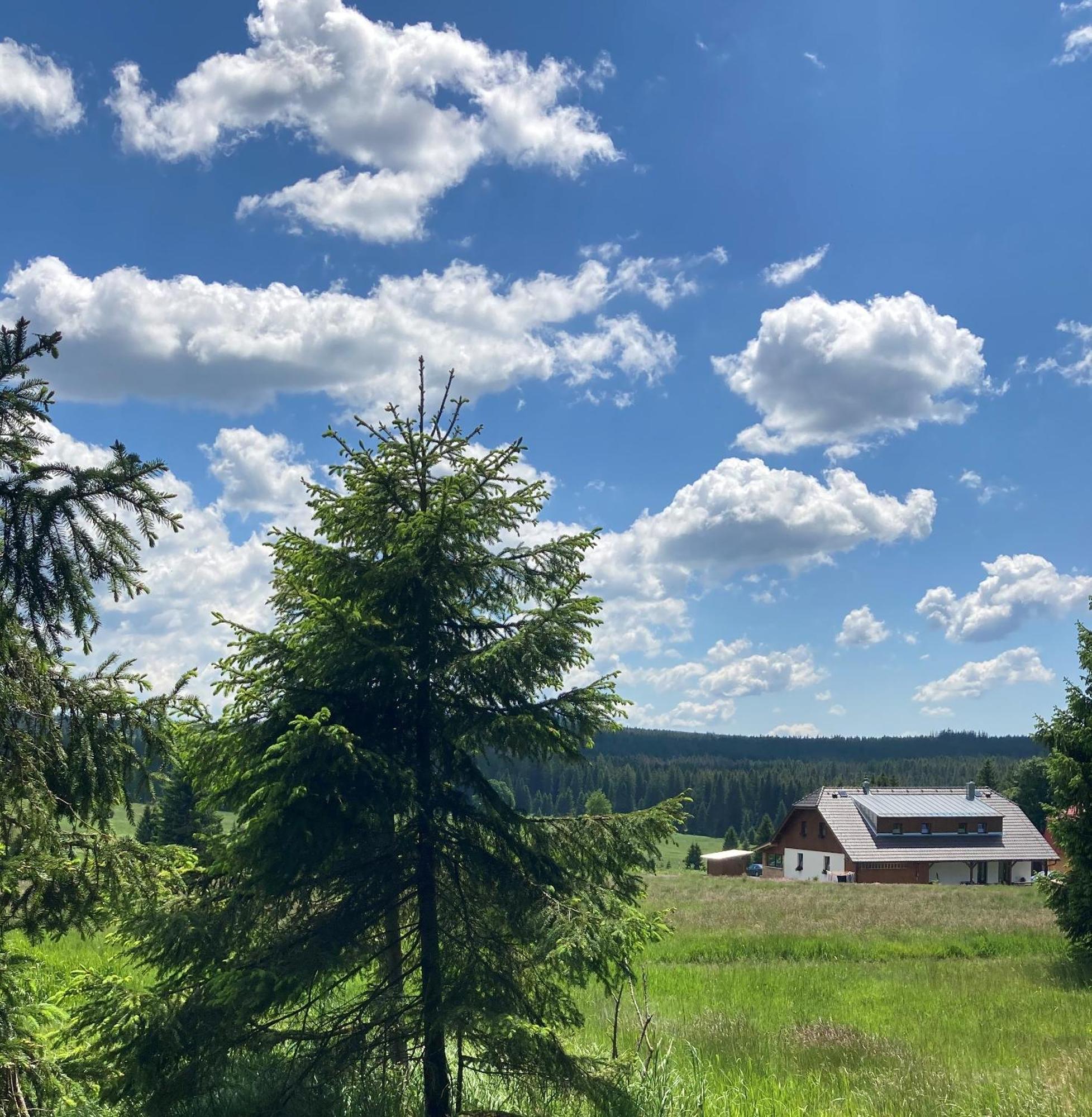 Apartmany V Chalupe Nad Modravou Modrava Exteriér fotografie