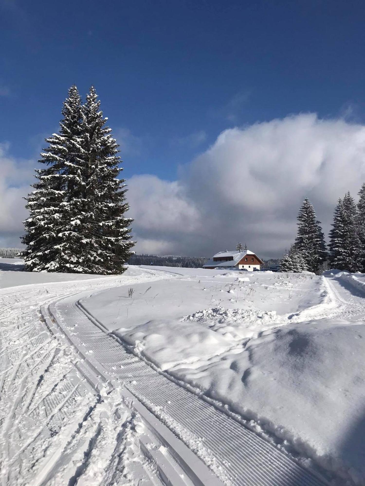 Apartmany V Chalupe Nad Modravou Modrava Exteriér fotografie
